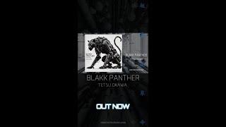 TETSU OKAWA "BLAKK PANTHER"  #techno #meditation #minimal #electronicmusic