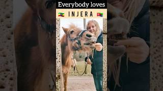  Everybody loves Injera  #injera #vegan #horse #food #rasta #rastafood #haflinger #ethiopia