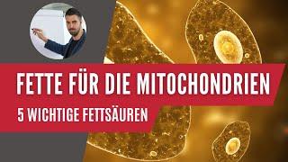 5 wichtige Fette für die Mitochondrien  nach Dr. Christian Burghardt