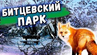 Битцевский лесопарк. История и интересные факты