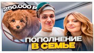 БУСТЕР И ДИЛАРА КУПИЛИ СОБАЧКУ ЗА 250.000 РУБЛЕЙ / BUSTER ROFLS