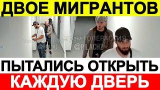 Двое мигрантов пытались открыть поочерёдно каждую дверь mp4