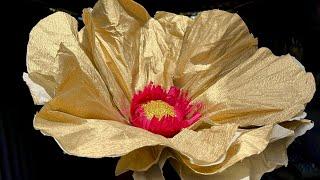 Create stunning giant flowers from crepe paper | Birthday decor ideas | Black pulse |