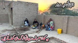 Pure Village Natural Dish || Organic Dish || Misbah Sajjad Vlogs