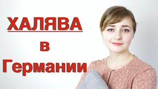 Халява в Германии   /  Как жить без забот?