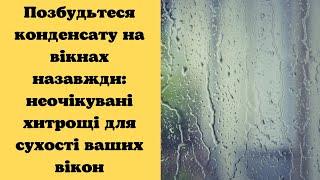 Позбудьтеся конденсату на вікнах назавжди: неочікувані хитрощі для сухості ваших вікон