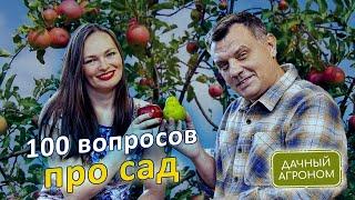 Сад твоей мечты! Узнай ВСЕ что тебе нужно