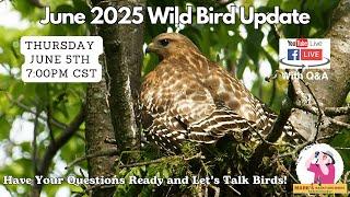June 2025 June Wild Bird Update with Q&A