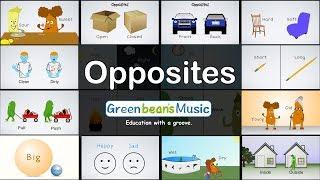 The Opposites Song | Green Bean's Music