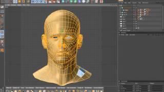 Tutorial UV Map Male Head