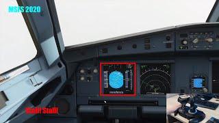 TimPictures im Kampf gegen den Airbus | MSFS 2020 clip