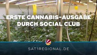 Cannabis Social Club in Ganderkesee gibt erstmals Cannabis an Mitglieder aus