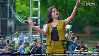 CINTA DAN AIR MATA   TIARA AMORA NEW PALLAPA || SEWINDU PLAT K 2024