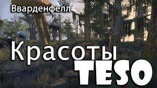 Красоты Elder Scrolls online: Вварденфелл