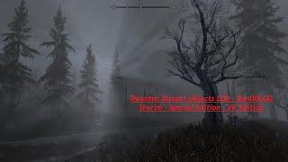 How to use Dynamic Distant Objects LOD - DynDOLOD Guide/Install Vortex for Skyrim SE/VR 2021