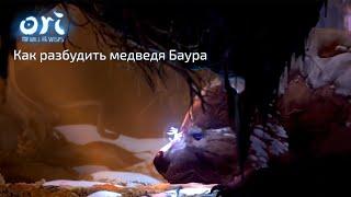 Ori and the will of the wisps. Как разбудить медведя Баура. Секреты прохождения