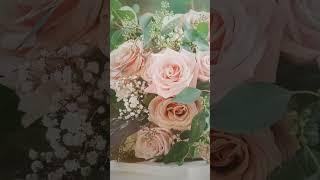 НЕПОКОЛЕБИМЫЙ, ЧТО БЫ НИ СЛУЧИЛОСЬ. Ассаф Жорж.