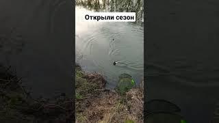 Не ожидали, что сегодня будет клёв! Открыли сезон 2023 #fishing #рыбалкавесной #фидер #густера #лещ