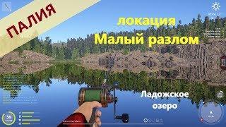 Русская рыбалка 4 - Ладожское озеро - Палия недалеко от базы