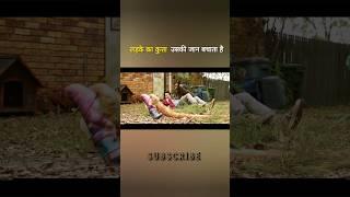 Boy's dog saves his life #shortsvideo #shorts