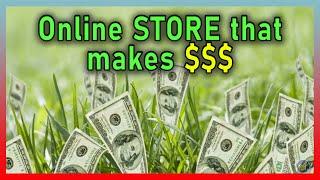 How to Start an ONLINE STORE | Optimum Finance
