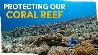 How we're managing seasonal effects at our coral restoration sites | VLOG