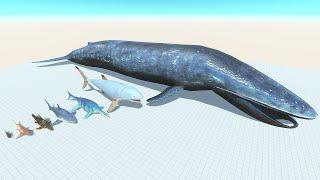 Blue Whale of Evolution vs ALL Dinosaurs Super Godzilla Brachiosaurus Who is Strongest ? Dino Revolt