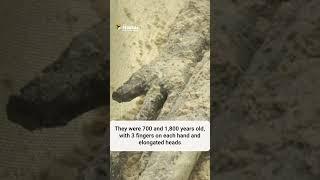 Watch: Mexico reveals ancient ‘non-human’ mummies | The Federal