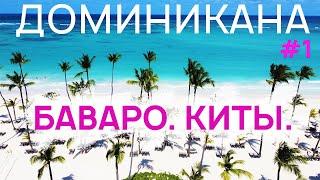 Пунта Кана, Пляж БАВАРО, КИТЫ | ДОМИНИКАНСКАЯ Республика #1