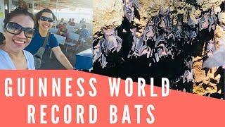 GUINNESS WORLD RECORD BATS OF SAMAL ISLAND IN DAVAO