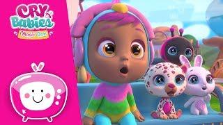UTALENTOWANE DZIECI  NOWY SEZON  CRY BABIES  MAGIC TEARS  Bajki dla Dzieci po POLSKU 