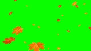 Green Screens : Falling leaves - Autumn