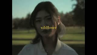 yung kai - wildflower (official lyric video)