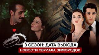 ДАТА ВЫХОДА 3 СЕЗОН! Турецкий сериал Зимородок и неожиданные свадебные новости