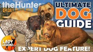 The ULTIMATE DOG GUIDE - How to Use the Bloodhound, Retriever & Pointer!!! - Call of the Wild