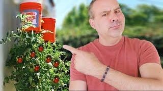 Does it Actually Work? How to Grow the Upside Down Tomato.