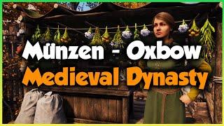 SO verdienst du dir Münzen in Oxbow  MEDIEVAL DYNASTY  GUIDE