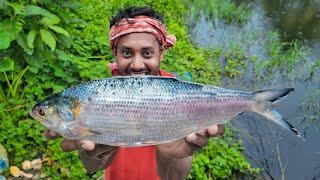 আজ বাড়িতে সর্ষে ইলিশের সাথে,ঘেরে জাল ফেলে, গলদা চিংড়ি ধরলাম!!!