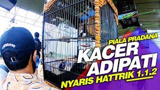 PIALA PRADANA | Kacer Adipati makin menjadi dan bertaji nyaris hattrik