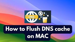 How to Flush DNS cache on MAC