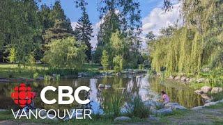 Park goers raise concern over Vancouver ponds