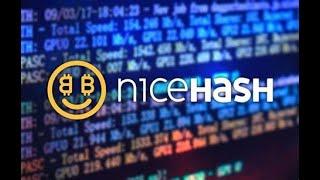 Начни майнинг за 5 минут NiceHash Quick Miner