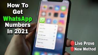 How To Get WhatsApp Numbers?