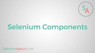 #9 Selenium Components