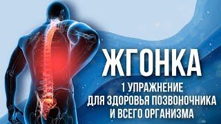 ЖГОНКА | Славянское упражнение от 1000 болезней! Быстрое пробуждение организма!