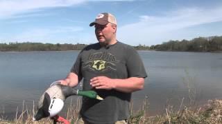 Lucky Junior Decoy from Lucky Duck