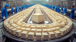 How Tons of Tofu Are Made In Factory | Tofu Mass Production Line