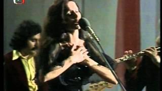 София Ротару и ВИА "Червона рута" - Лебединая верность (1976, live)