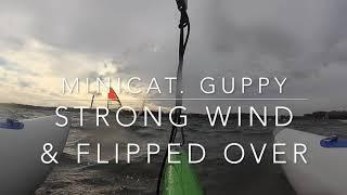 Minicat Guppy - strong wind & Flip