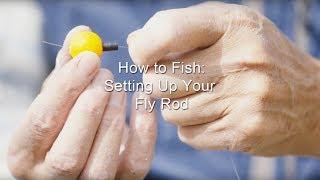 How to Fish: Setting Up Your Fly Rod | GoFishBC